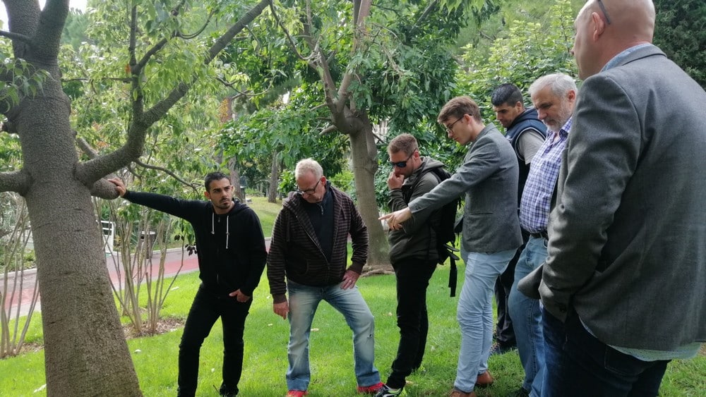 Photo formation détection des arbres à risques