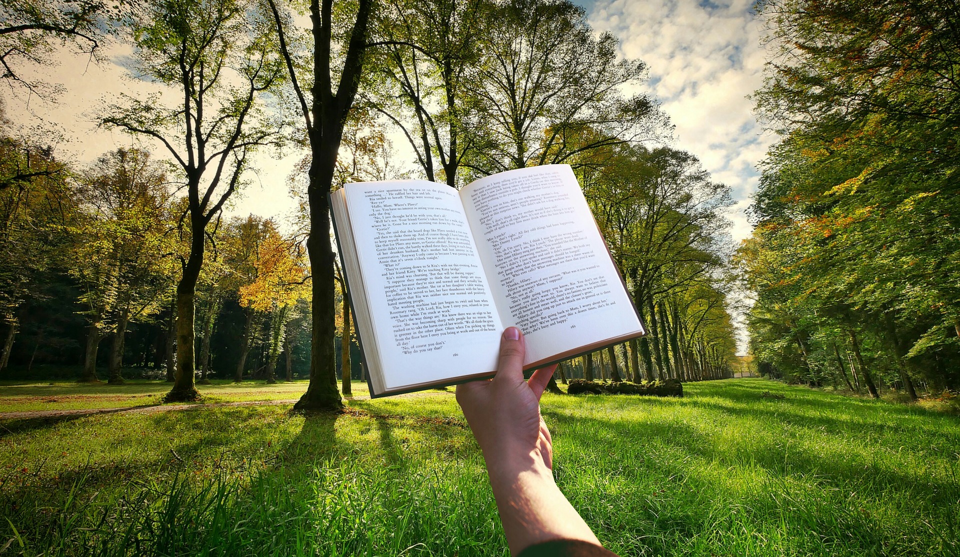 Enjeux et conception d'une charte de l'arbre