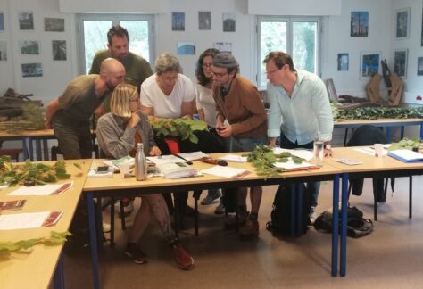 Groupe de travail avec Jeanne MILLET